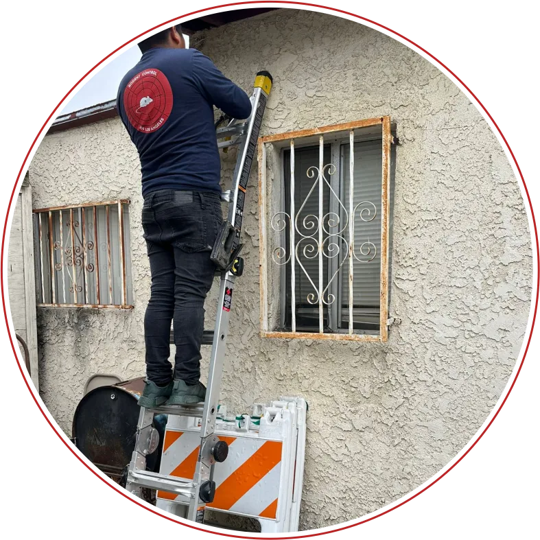 Rodent Expertz Servicing Culver City CA - Rodent Expertz Los Angeles