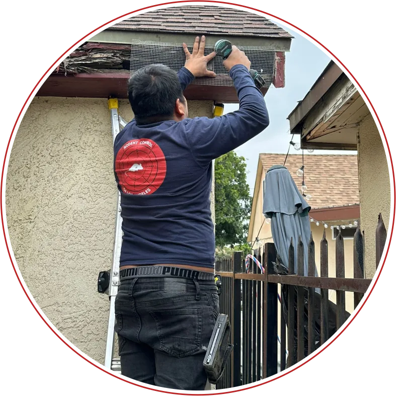 Rodent Expertz Servicing Burbank CA | Burbank Rodent Control - Rodent Expertz Los Angeles