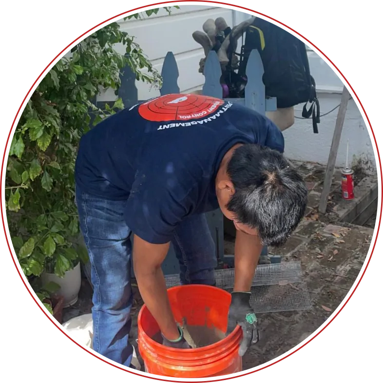Rodent Expertz Servicing Burbank CA | Burbank Rodent Control - Rodent Expertz Los Angeles